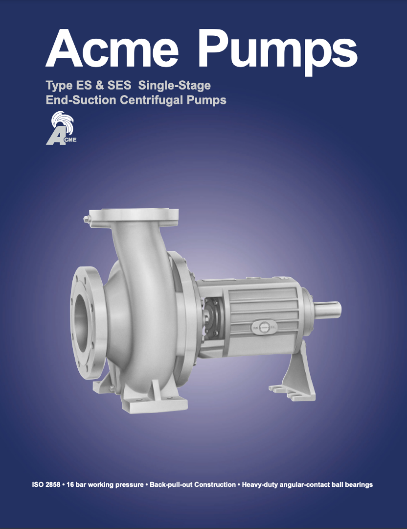 ESSESEndSuctionPumps
