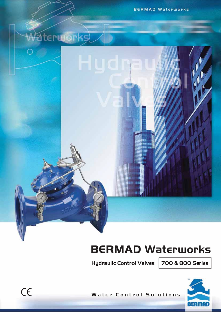 BERMAD ES-EN Intro
